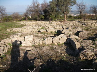 tapiccola-13-01-2013 09-19-15